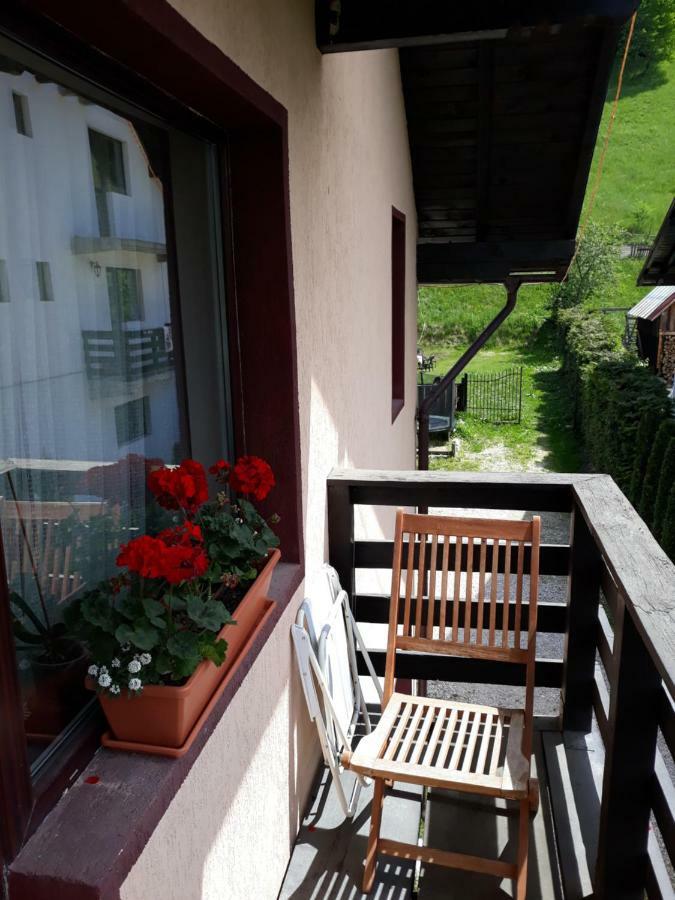 בראן Apartament Laura מראה חיצוני תמונה